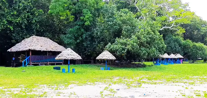 Ramnagar Beach Andaman Diglipur hut