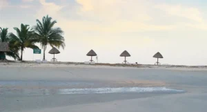 ross and smith islands gallery