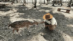 Ross Island Andaman – History, Attractions and Travel Guide