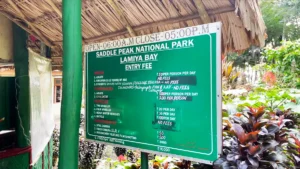 Saddle Peak – Conquer the Highest Peak of Andaman