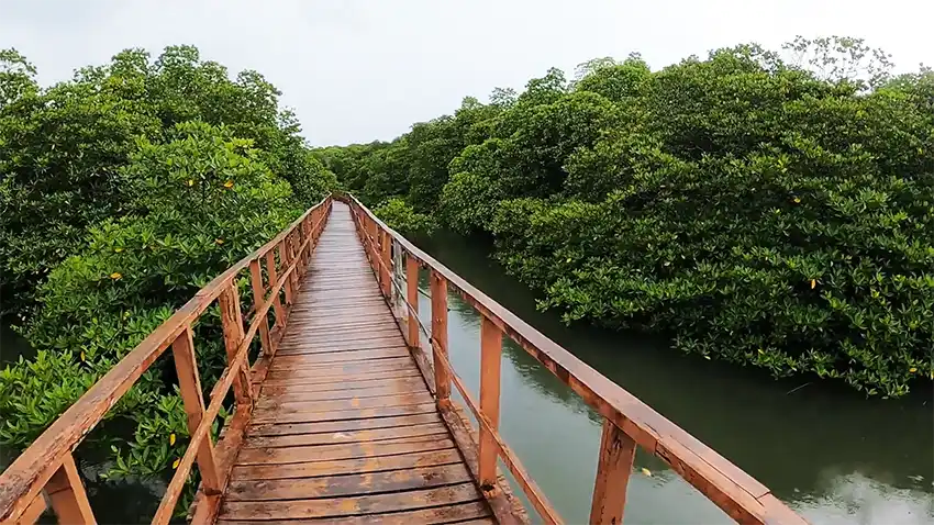 Yeratta Creek Rangat gallery